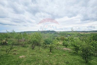 Teren Construcții intravilan de 5350 mp, în Dobreni - 9