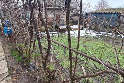 Casă cu 6 camere cu Teren 645 Mp în Nord - 10