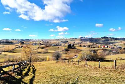 Teren parcelabil, front la strada, 6340mp, utilitati, Marise - 2