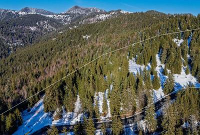 Teren de 15000 mp, în Dreptu - 1