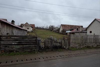 Spațiu comercial, în Păuca - 8