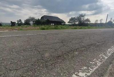 Casa+teren 5000mp, 70ml la DN 2E, zona Cacica, Radauti - 8