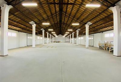 Spațiu industrial, de 1,200 mp, în Central - 16