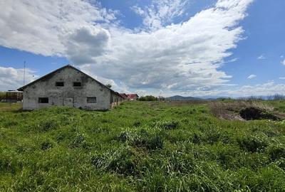 Teren Construcții intravilan de 41000 mp, în Bod - 6