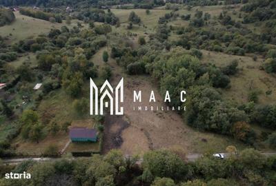 Spațiu comercial, în Cisnădioara - 7