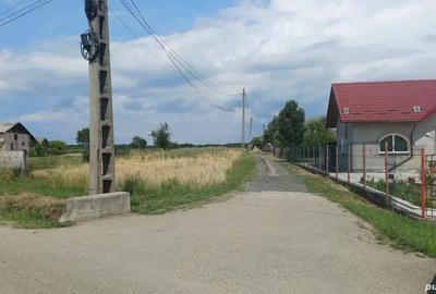 Teren de 3960 mp, în Crucișoara - 3