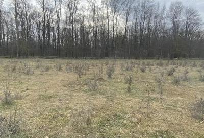 Teren de 950 mp, în Central