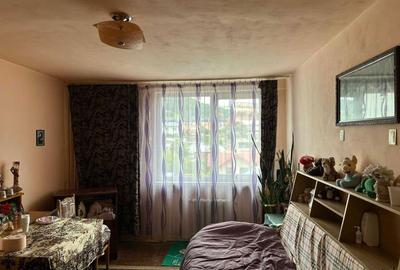 Apartament cu 2 camere decomandat în Precista - 4