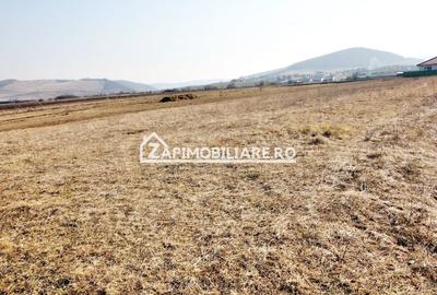 Teren  Intravilan 2.075 mp. 59.euro mp.Sangeorgiu de Mures - 6