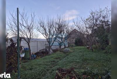 Casă cu 3 camere cu Teren 795 Mp în Apahida - 5