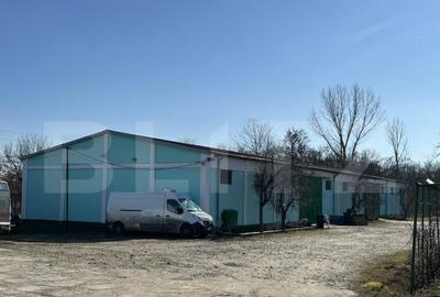 Hale, spatii de depozitare si administrative, teren 6530 mp, - 1
