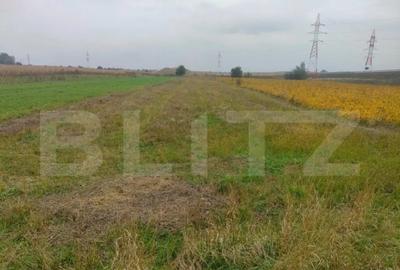 Teren de 2600 mp, în Rădăuți - 2