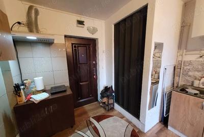 Garsonieră semidecomandată în Valea Rosie - 7