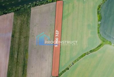 Teren agricol extravilan de 9990 mp, în Săcălaz - 3