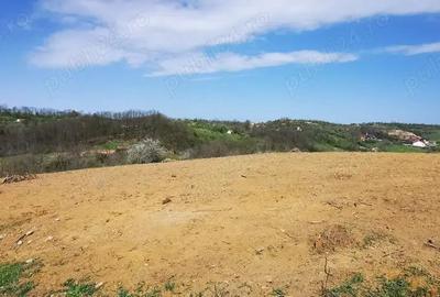 Parcele intravilan cu extravilan Calea Caransebesului km 2 loturi de 1000 mp negociabil - 5