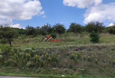 Exclusivitate! 2500 mp teren intravilan iesire Baciu pe partea cu livada la drum