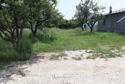 Teren de 500 mp, în Vedea - 1