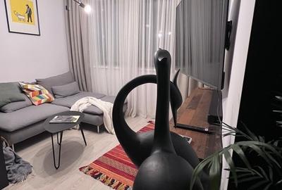 Garsonieră semidecomandată în Pipera - 11