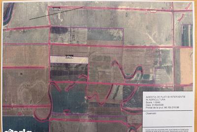 Teren de 60000 mp, în Zăvoaia