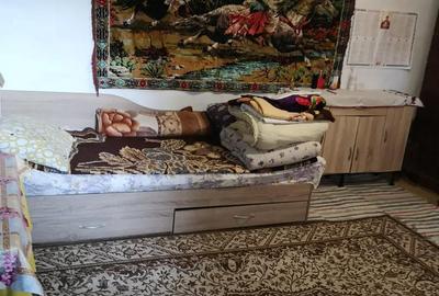 Casă cu 5 camere cu Teren 2200 Mp în Seaca - 3