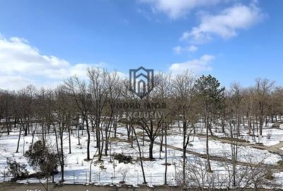 Apartament cu 3 camere decomandat, mobilat în Herăstrău - 24