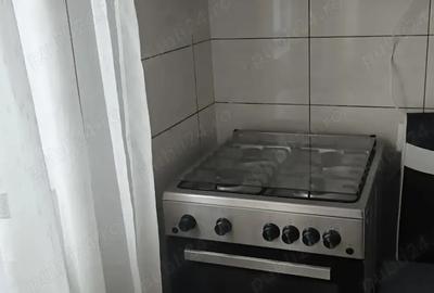 Apartament 2 camere Renovat - Complet MOBILAT si Utilat - Zona Independentii Biserica Noua - 10