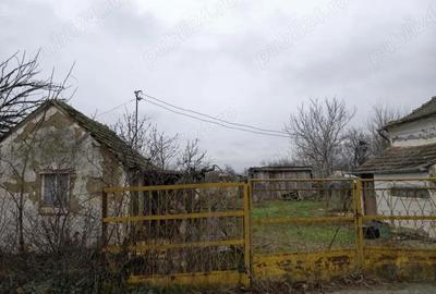 Casă cu 2 camere cu Teren 1532 Mp în Grănicerii - 3