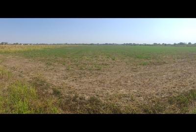 Teren de 1900 mp, în Săbăreni - 4