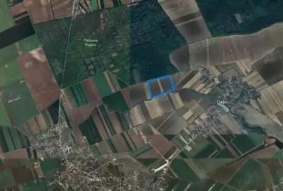 Teren de vanzare in Ilfov, Gagu, deschidere 74ml, 20762mp, 62.000euro - 1