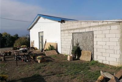 Spațiu comercial, de 470 mp, în Manoleasa - 2