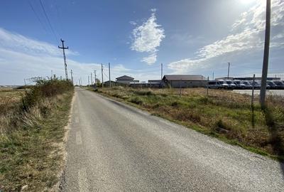 Teren agricol extravilan de 15000 mp, în Albota - 2