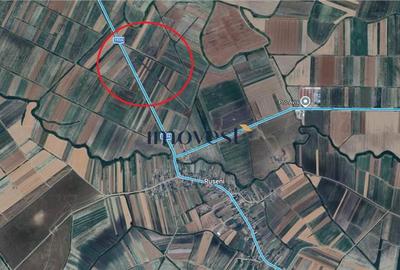 Teren de 3000 mp, în Păulești - 1