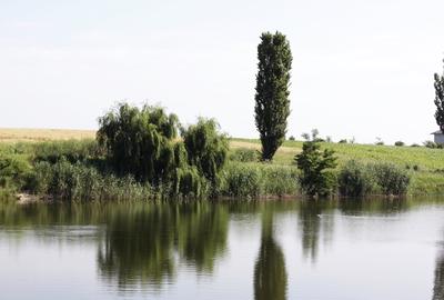 Teren în Balotești - 5