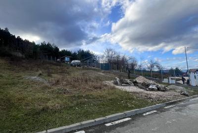 Teren Construcții intravilan de 495 mp, în Poiana Angelescu - 7