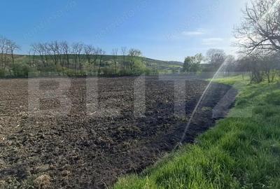 Casă cu 2 camere cu Teren 15000 Mp în Central - 9