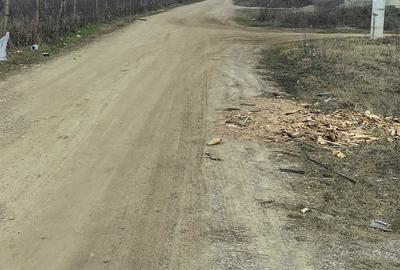 Spațiu comercial, în Slobozia Bradului - 4