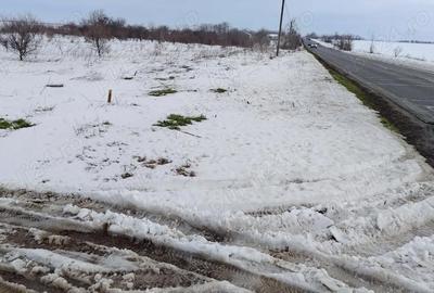 Spațiu comercial, în Pasărea - 6