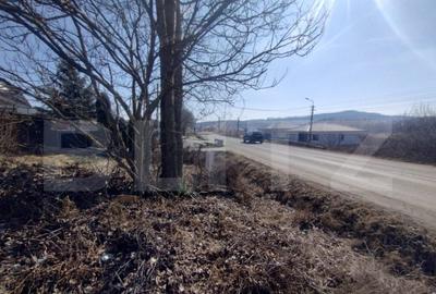 Teren intravilan 500mp(5 ari)la drumul pricipal,Valea Sigmir - 3