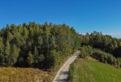 Comision 0% teren intravilan 1000 mp, PUZ, priveliste, Baisoara - 3