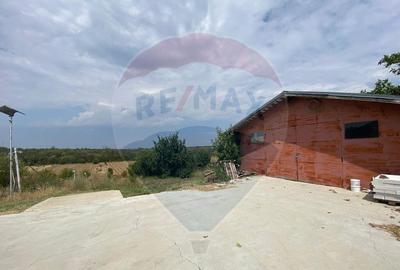 Teren cu hala, Bucsani, Crevedia / DN 61 (A1, A0) 40 Km ... - 18