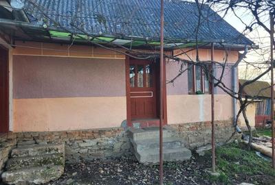 Casă cu 3 camere în Central
