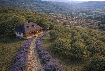 Teren de 7000 mp, în Dorobanț - 3