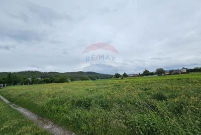 Teren Construcții intravilan de 1495 mp, în Dobreni - 11