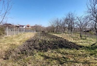 Casă cu Teren 1270 Mp în Ianova - 2