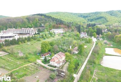 Spațiu comercial, de 710 mp, în Bazna - 14