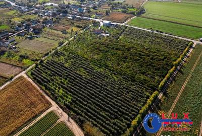 Teren de 44999 mp, în Sabangia - 16