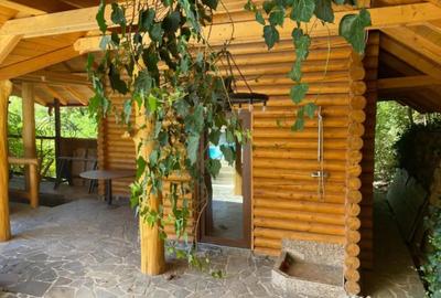 Casă cu 7 camere cu Teren 17000 Mp în Cărbunari - 7