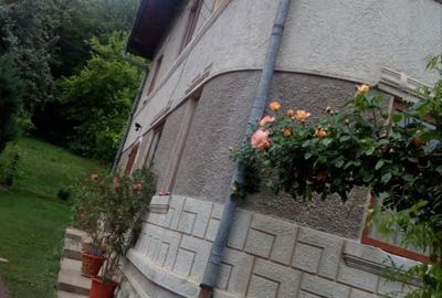 Casă cu 6 camere cu Teren 2559 Mp în Peștișani - 2