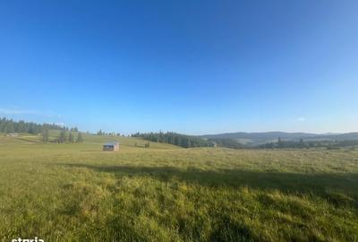 Teren de 500000 mp, în Ciocănești - 4