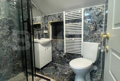 Cabana spectaculoasa, 6 camere, totul nou, padure, Rasca ! - 10